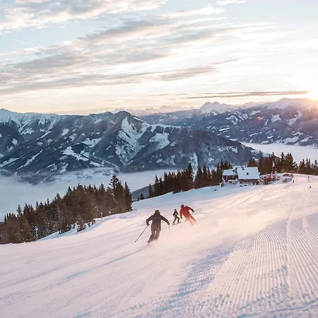 Alpenparks Hotel&apartment Zell Am Zell am See