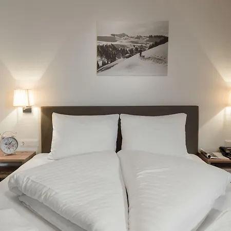 Alpenparks Hotel&apartment Zell Am Zell am See