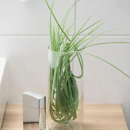 Aparthotel Alpenparks & Zell Am