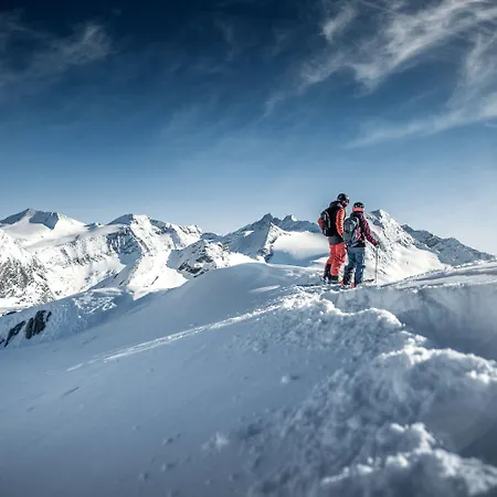 Alpenparks Hotel&apartment Zell Am 4*