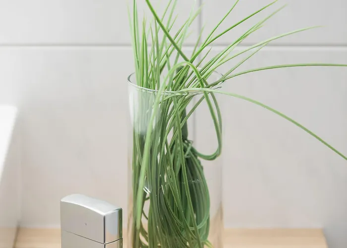 Lägenhetshotell Alpenparks & Zell Am