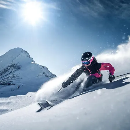 Aparthotel Alpenparks Hotel&apartment Zell Am Zell am See